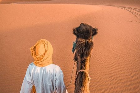 Desert Camel Ride